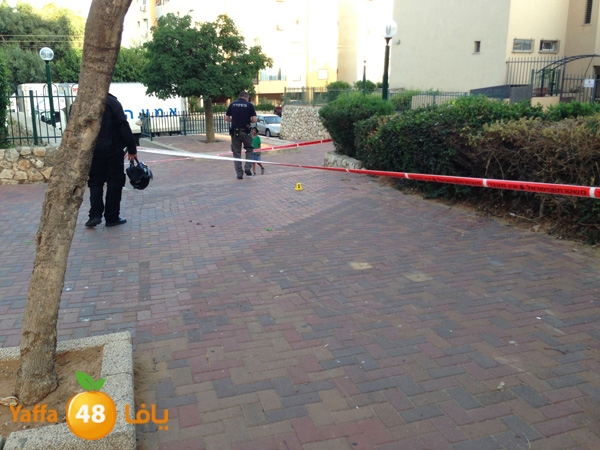 ta3nn601bayara (2).JPG